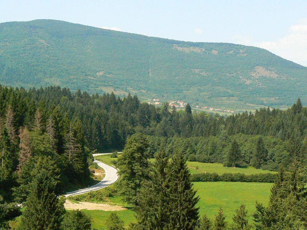 Holiday Park Zelenkovac Podrasnica Extérieur photo
